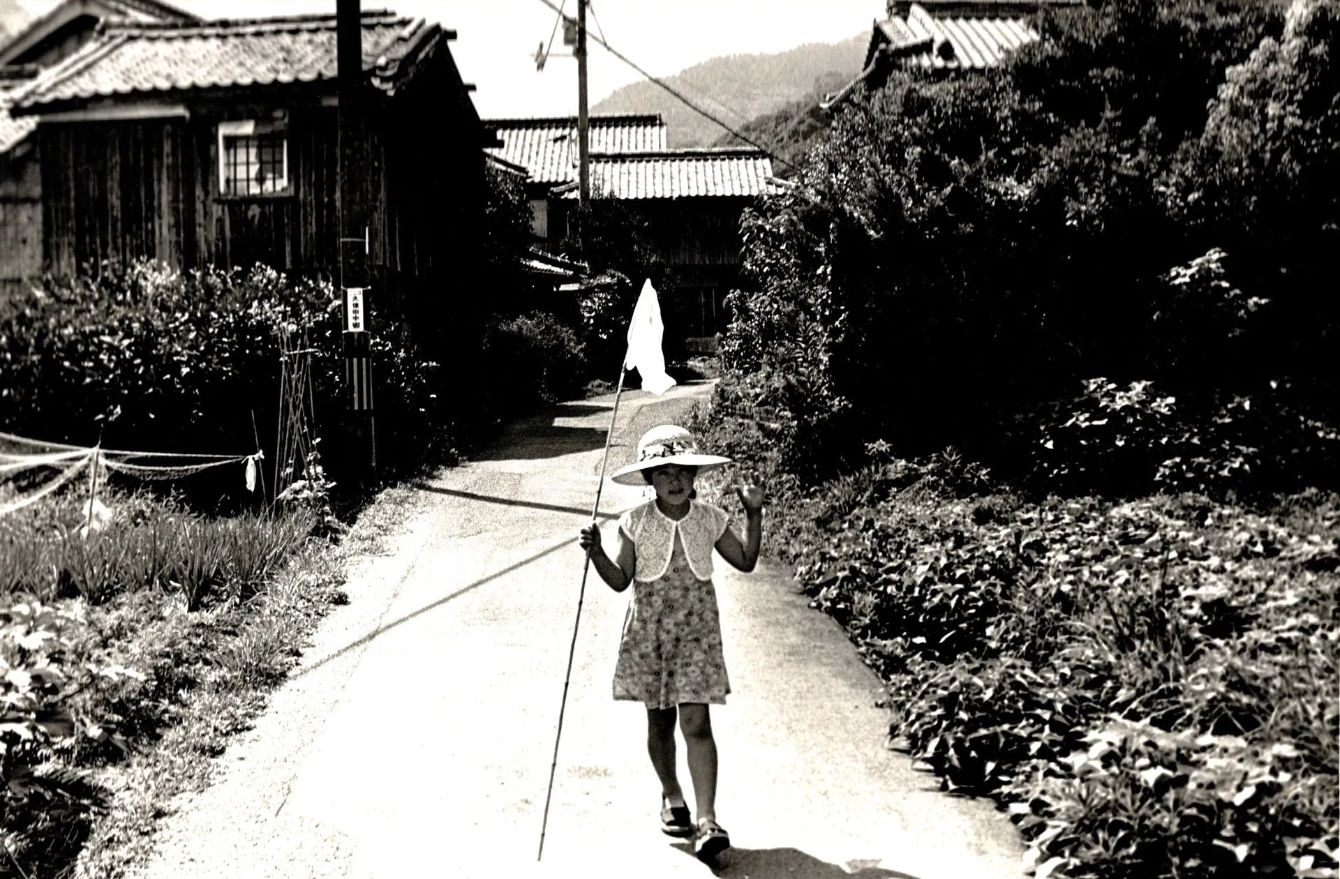 夏の日
